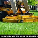 Lawn Care Tips