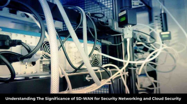 SD-WAN for Security Networking and Cloud Security
