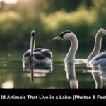 Animals That Live in a Lake