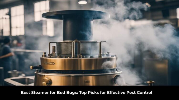 Best Steamer for Bed Bugs